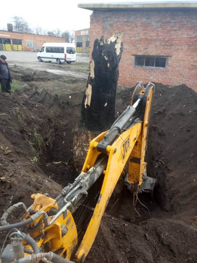 Корчевание пней